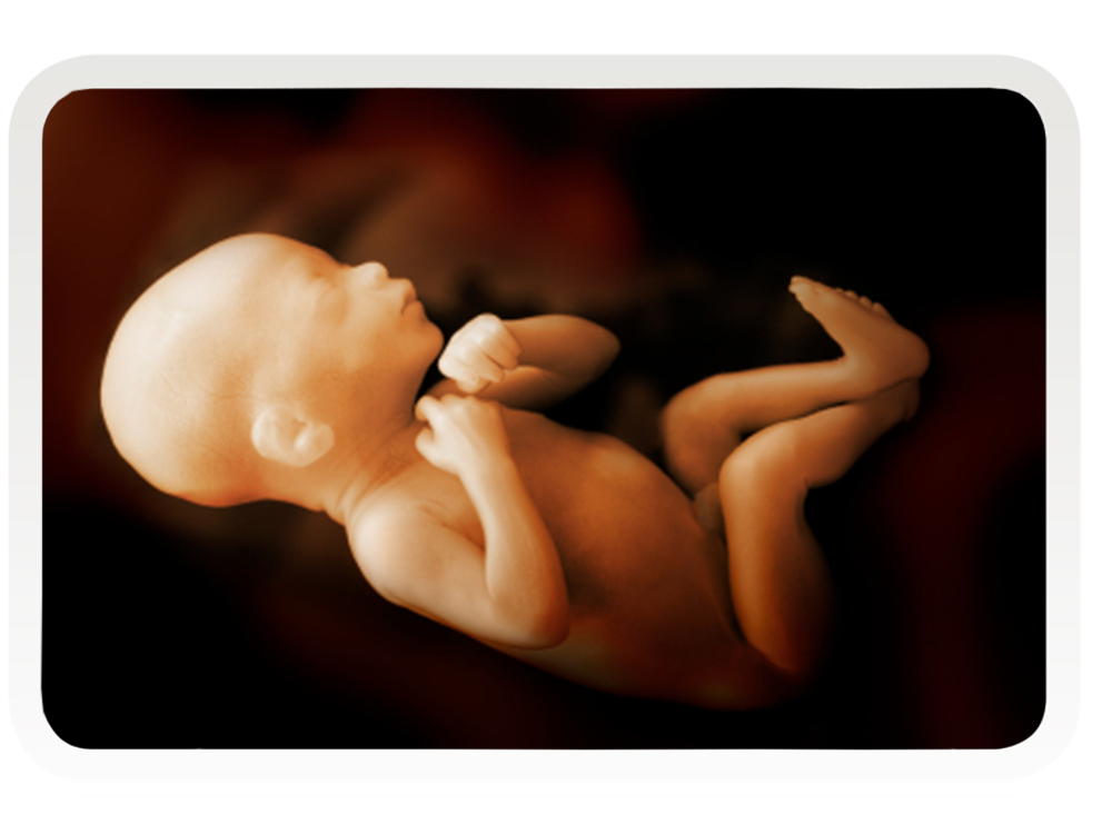 4D baby scans